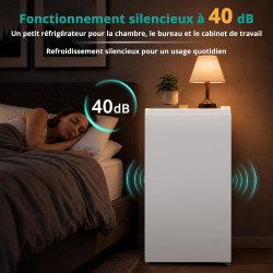 SMETA Mini Réfrigérateur, 91L, avec Micro-Congélateur 11L, Silencieux 40dB, Thermostat Réglable, Porte Réversible, Mini Frigo po