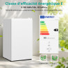 SMETA Mini Réfrigérateur, 91L, avec Micro-Congélateur 11L, Silencieux 40dB, Thermostat Réglable, Porte Réversible, Mini Frigo po