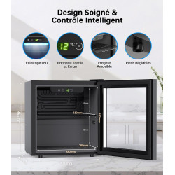WIE Petit Réfrigérée Boissons 36L Mini Réfrigérateur Vitrée 55 Cans Mini Frigo Vitré Silencieux Vitrine à Boissons pour Maison/C