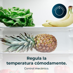 Cecotec Mini Réfrigérateur Bolero CoolMarket TT 114 L Inox.Mini Frigo Capacité de 114L, design compact, classe E, dégivrage auto