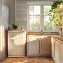 Cecotec mini frigo réfrigérateur rétro bolero coolmarket tt origin 110 beige e. mini frigo rétro avec une capacité de 110l, clas