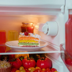 Cecotec Mini Frigo Rétro de 110 L Bolero CoolMarket TT Origin 110 Vert E. Mini Réfrigérateur, Classe E, ICEBOX, LED Intérieur, P