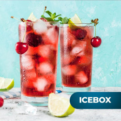 Cecotec Mini Réfrigérateur Rétro de 90 L Bolero CoolMarket TT Origin 90 Rouge. Mini Frigo avec ICEBOX, LED Intérieur, Poignée Ch