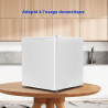 Mini Frigo, Petit Frigo de Chambre, 46L, Mini Réfrigérateur, Silencieux, Porte Réversible, pour Maison Appartement, Blanc, 0-10℃