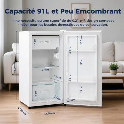 Petit Frigo, 91L, Température Réglable 2-8℃, Micro-Congélateur -3-0℃, Silencieux, Porte Réversible, Mini Réfrigérateur pour Cham