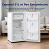 Petit Frigo, 91L, Température Réglable 2-8℃, Micro-Congélateur -3-0℃, Silencieux, Porte Réversible, Mini Réfrigérateur pour Cham