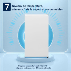Petit Frigo, 91L, Température Réglable 2-8℃, Micro-Congélateur -3-0℃, Silencieux, Porte Réversible, Mini Réfrigérateur pour Cham
