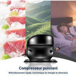 Petit Frigo, 91L, Température Réglable 2-8℃, Micro-Congélateur -3-0℃, Silencieux, Porte Réversible, Mini Réfrigérateur pour Cham