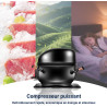 Petit Frigo, 91L, Température Réglable 2-8℃, Micro-Congélateur -3-0℃, Silencieux, Porte Réversible, Mini Réfrigérateur pour Cham