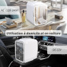 YASHE Mini Frigo pour Chambre, Frigo Skincare avec Miroir LED, Petit Frigo de 4L Portable, Thermoelectrique Chauffe & Refroidiss
