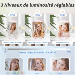 YASHE Mini Frigo pour Chambre, Frigo Skincare avec Miroir LED, Petit Frigo de 4L Portable, Thermoelectrique Chauffe & Refroidiss