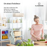 KLARSTEIN Brooklyn Mini Frigo de Chambre, Mini Bar, Refrigerateur Aliments et Boissons, Porte en Verre, Etagères Réglables, Peti