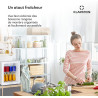 KLARSTEIN Brooklyn Mini Frigo de Chambre, Mini Bar, Refrigerateur Aliments, Boissons, Porte en Verre, Etagères Réglables, Petit 