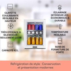 Klarstein Mini Frigo de Chambre 42L pour Snacks et Boissons, Petit Réfrigérateur Silencieux avec Étagères Réglables, 12-18°C