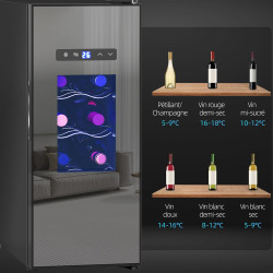 HOMCOM Cave à vin 12 bouteilles 30L réfrigérateur à vin thermoélectrique double et silencieux - porte en verre, éclairage LED, é