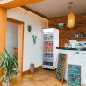 METRO Professional Réfrigérateur à Boissons/Frigo Vitré GSC2360C, Métal/Verre 62 x 64.6 x 193.5cm, 347 L, Froid Ventilé, 180 W, 