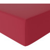 Amazon Basics Drap Housse, 160 x 200 x 30 cm, en Polyester Microfibre pour Matelas Épais jusqu'à 30 cm, Bordeaux