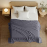 Utopia Bedding Drap Plat – Tissu en Microfibre brossée Douce – Drap de Dessus résistant au rétrécissement et à la décoloration, 