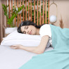 Utopia Bedding Drap Plat en Microfibre brossée Douce, Drap de Dessus résistant au rétrécissement et à la décoloration, Facile d'