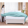 Utopia Bedding Drap Plat en Microfibre brossée Douce, Drap de Dessus résistant au rétrécissement et à la décoloration, Facile d'