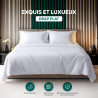 Utopia Bedding - Drap Plat sans élastique - 266 x 259 cm - Certifié Oeko-TEX - Polyester brossé Doux - Microfibre - Drap Plat - 