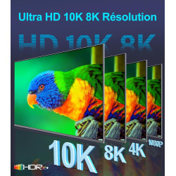 Sniokco 10K 8K 4K Câble HDMI 2.1 48Gbps 2M, Certifié Ultra Haute Vitesse HDMI® Cable 0.01ms 4K 240Hz 165Hz 120Hz 8K 60Hz eARC Ne