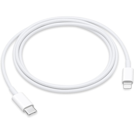 Apple Câble USB-C vers Lightning (1 m)