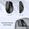 TECKNET Souris sans Fil, 2.4G Souris Optique 2600 DPI avec 5 Niveaux Réglable, Souris Ergonomique pour PC, Ordinateur Bureau/Por