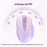 TECKNET Souris sans Fil, 2.4G Souris Optique 4000 DPI avec 6 Niveaux Réglable, Souris Ergonomique pour PC, Ordinateur Bureau/Por