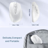 TECKNET Souris sans Fil, 2.4G Souris Optique 4000 DPI avec 6 Niveaux Réglable, Souris Ergonomique pour PC, Ordinateur Bureau/Por