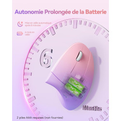 TECKNET Souris Ergonomique sans Fil 2.4G, Silencieuse Verticale Souris avec 4800 DPI Réglable, 6 Boutons, LED, Prévention Syndro