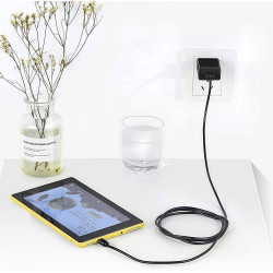 3 m Câble de chargement pour Kindle Fire, câble USB A vers USB C pour Kindle Fire 7, HD 8, HD 10 (9ème, 10ème, 11ème, 12ème géné