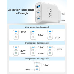 65W Chargeur USB C Rapide, 3-Ports Prise USB C GaN Tech PD3.0 PPS avec 60W Câble pour iPhone 17 16 15 14 13 Pro Max, pour MacBoo