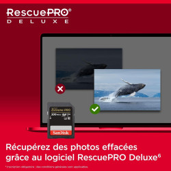 SanDisk Extreme PRO Carte SDXC 256 Go (Carte SD V30, Vitesse de Transfert jusqu'à 200 Mo/s, UHS-I, 4K UHD Videos, RescuePRO Delu