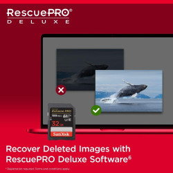 SanDisk 32 Go Extreme Pro Carte SDHC + RescuePRO Deluxe, jusqu'à 100 Mo/s, UHS-I, Classe 10, U3, V30 (Lot de 2)