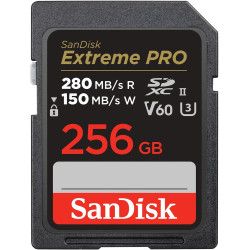 Carte mémoire SD SanDisk Extreme Pro 256 Go Noir