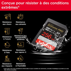 Carte mémoire SD SanDisk Extreme Pro 256 Go Noir