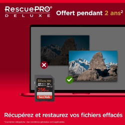 Carte mémoire SD SanDisk Extreme Pro 256 Go Noir