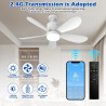 Ventilateur de Plafond avec Éclairage LED 53 cm et Télécommande, Contrôle par Application à Intensité Variable, 24 W, 4 Vitesses