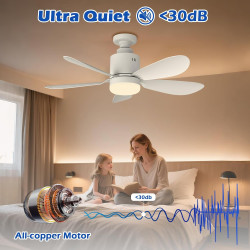 Ventilateur de Plafond avec Éclairage LED 53 cm et Télécommande, Contrôle par Application à Intensité Variable, 24 W, 4 Vitesses