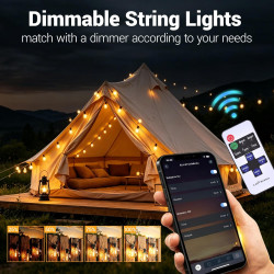 30M LED Guirlande Lumineuse Guinguette Exterieure mit APP Contrôle et Télécommande Dimmable LED Ampoules IP44 Imperméable, Chaîn