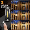 btfarm Lot de 6 Lampe Solaire Exterieur Rétro,LED Lumiere Solaire Exterieur IP65 Etanche Applique Murale Exterieur Solaire Décor
