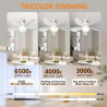 52CM Ventilateur de Plafond avec Lumière et Télécommande, Plafonnier Ventilateur LED E27 Réglable 3 Vitesses & 3 Couleurs, Silen