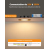 Sanyoung Spot LED Encastrable 12V Camping-car, 3W Alu Spot Extra Plat Dimmable 3000K Blanc Chaud 240LM, IP44 Spots Salle de Bain