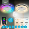 Varin® Ventilateur Plafond avec Lumiere Intelligent, Plafonnier Ventilateur Silencieux pour Chambre, Tuya Wi-Fi, LED 30W RGBW, Ø