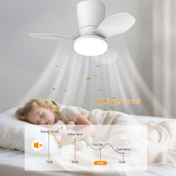 Qcyuui Ventilateur Plafond Blanc 65 cm avec Lumière LED Silencieux Moteur DC Réversible Télécommande 6 Vitesses Minuterie Contrô