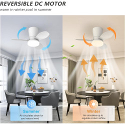 Qcyuui Ventilateur Plafond Blanc 65 cm avec Lumière LED Silencieux Moteur DC Réversible Télécommande 6 Vitesses Minuterie Contrô