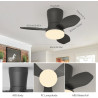 Qcyuui Plafonnier Ventilateur Noir 65 cm LED Ultra Silencieux Moteur DC Réversible Télécommande 6 Vitesses Minuterie Luminosité 