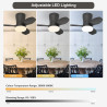 Qcyuui Plafonnier Ventilateur Noir 65 cm LED Ultra Silencieux Moteur DC Réversible Télécommande 6 Vitesses Minuterie Luminosité 