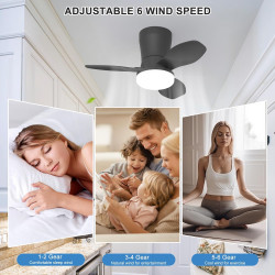 Qcyuui Plafonnier Ventilateur Noir 65 cm LED Ultra Silencieux Moteur DC Réversible Télécommande 6 Vitesses Minuterie Luminosité 